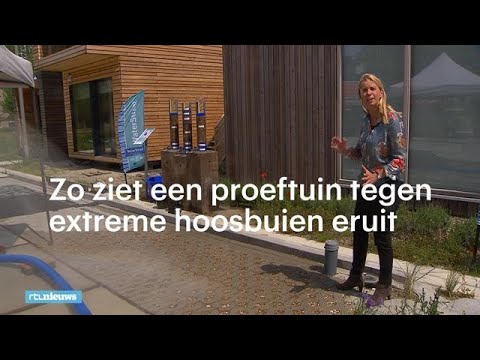 Wat te doen tegen extreme hoosbuien? Deze proeftuin zoekt naar oplossingen  - RTL NIEUWS