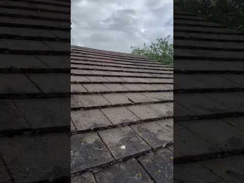 A roof cleaning job done properly ⭐