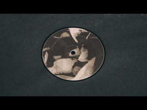 Cio D'Or - XXXIII (Mike Parker Remix)