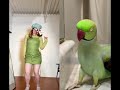 The Ultimate Dance Off Smac Vs Parrot