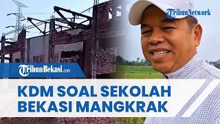 Sekolah Mangkrak 11 Tahun Jadi Sarang Ular, Dedi Mulyadi Beri Penjelasan soal SMKN 1 Babelan