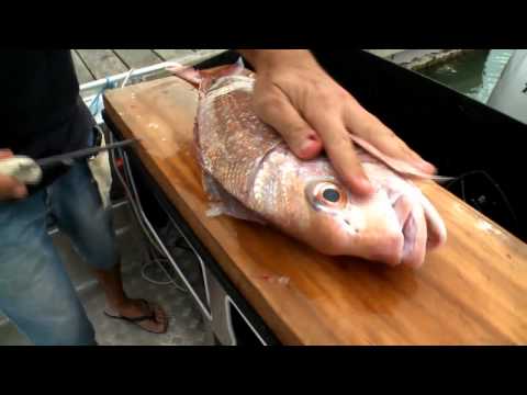 How to fillet a fish easily