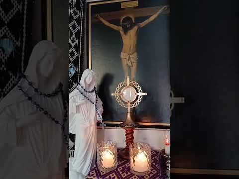 Adoracion Al Santisimo Sagramento del Altar con el Padre Fabian Esteban Oliva. 19/08/26