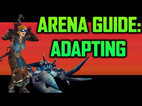 Arena Guide - Adapting Your Routine