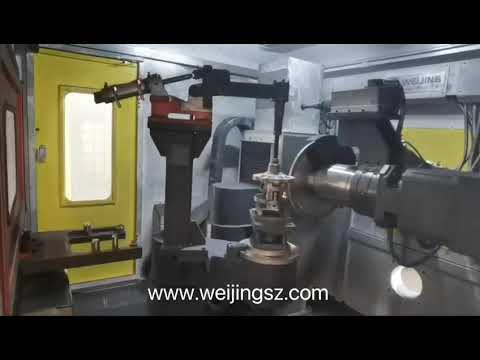Weijing GV230 grinding machine is fettling differential parts