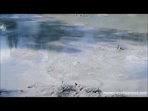 boiling hot springs and mud pools playing their merry little games, Waimangu, New Zealand