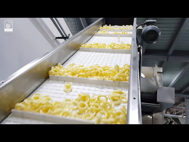 CORN CHIPS PRODUCTION LINE LC403 | adding flavor machine chips best corn chips machine 