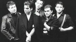 Litfiba (Inedito) - I wanna be your dog