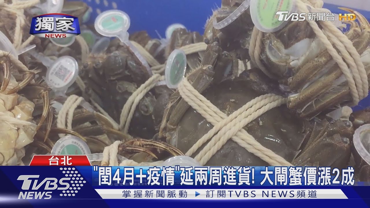 大閘蟹延吃!海關檢最長10天 業者:10%死光