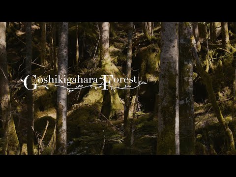 Hidatakayama-Goshikigahara ~Sustainable Luxury Experiences~ | Visit GIFU | JAPAN | 4K