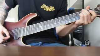 In Hearts Wake - Skydancer Guitar Cover HQ