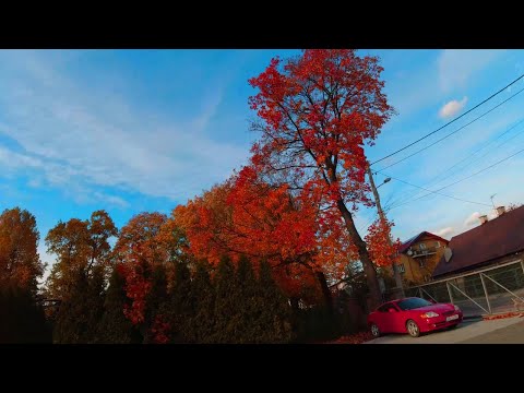 Bielsko-Biała, złota kolorowa jesień, autumn motorbike ride