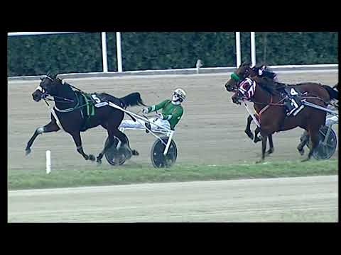 Napoli Trotto 29/10/2021 - 3ª corsa