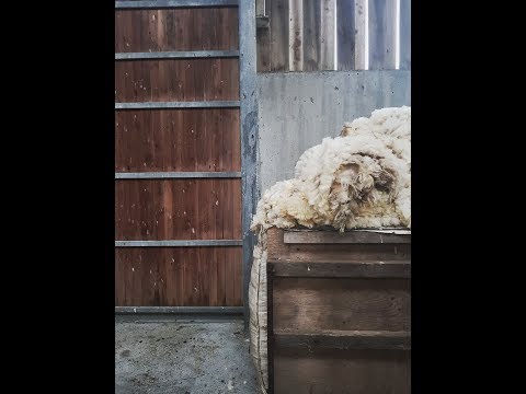 Episode 79:  Reclaimer