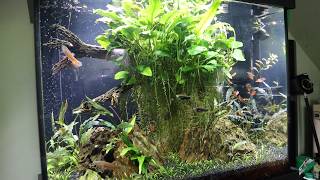 Fluval Shaker 44:  1 Year Update