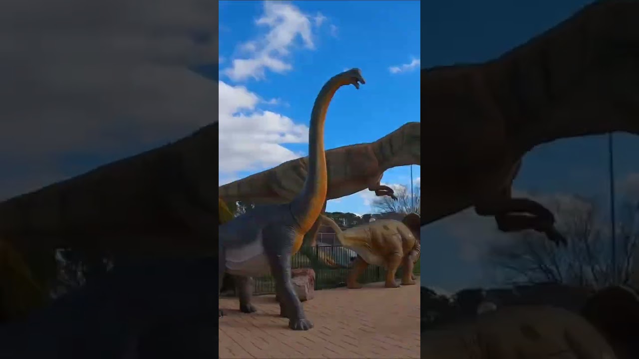 YouTube Short thumbnail