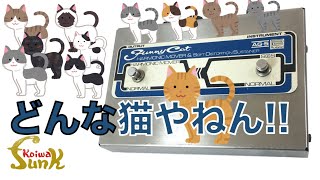 Video thumbnail for 【ケンケンの愛猫】Roland Funny Cat AG-5 - リペアショップ小岩ファンク by funk ojisan