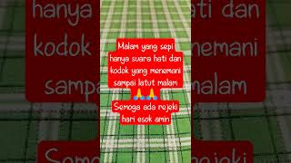 Download lagu suara hati#viral #suara #curhat mp3