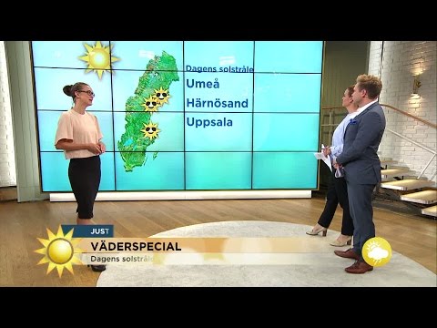 Dagens solstråle - här blir det finast väder i dag - Nyhetsmorgon (TV4)