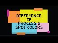 Difference Of Process And Spot Colors