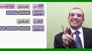 8 ¶ تناغم البحور image