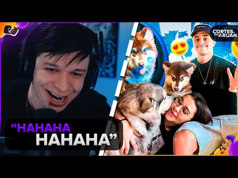 ARUAN REAGE: Nossa família AUMENTOU! | Malamute do Alasca 🐺 (LOUD CORINGA) - Cortes do Aruan