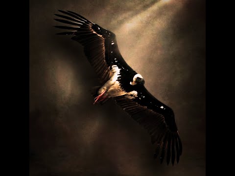 [FREE] KANYE WEST X PLAYBOI CARTI X VULTURES 2 TYPE BEAT - CARNIVAL 2