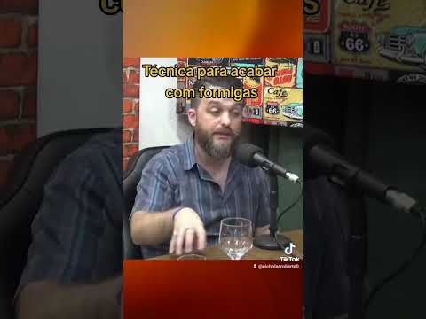 técnica para acabar com as formigas #controledepragas #dedetizadora #dedetizacao #falabatateiros