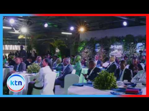 Britam Pays KSh 97 Million in Climate Insurance Claims to Farmers