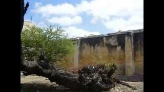 preview picture of video 'CAMPO DO TARRAFAL, ILHA DE SANTIAGO, CABO VERDE'