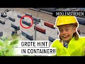 DE MOL LAAT ANDEREN HET WERK DOEN!? | MOLLENSTREKEN #8 | NPO ZAPP