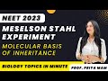 Meselson Stahl Experiment Molecular Basis Of Inheritance NEET 2023 Priya Pandey Mam Neet