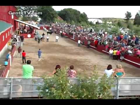 Tourada a Corda na Festa Brava GenteTV - Sept.05 - #5