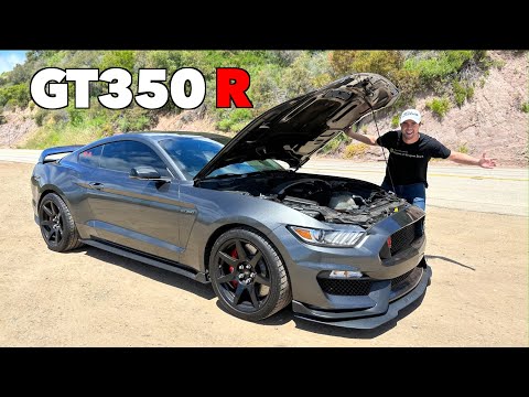 Ford Shelby GT350R Review *BETTER Than A GT500??*