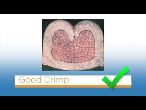 Crimp Theory Fundamentals: BASIC