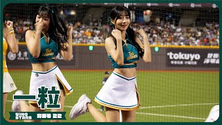 可愛らしい劉基鴻應援📣 一粒 WING STARS 台鋼雄鷹 臺北大巨蛋 2024/5/1【台湾チアTV】
