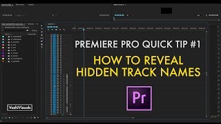 Adobe Premiere Pro Tutorial: SECRET Setting [Mission: Impossible - Fallout]