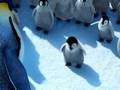 Happy Feet Day At School Canadian French