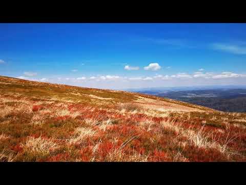 Bieszczady: Wołosate - Rozsypaniec - Halicz - Krzemień - Tarnica - Wołosate | maj 2020