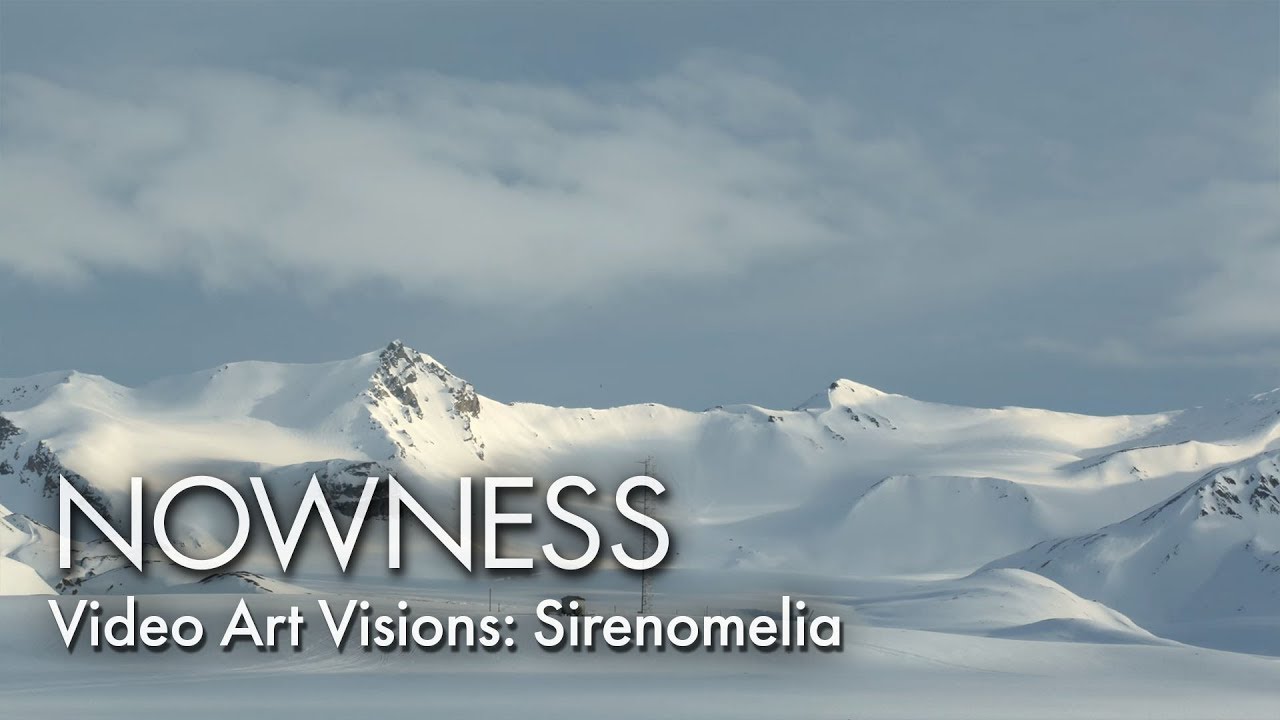 Video Art Visions: Sirenomelia