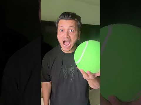 DOG FOOTBALL 🐶🐾⚽#shorts #youtubeshorts #cricket #unboxing #ball #funny