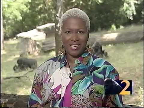 The Life and Times of Willie B