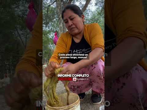 🌱 El peligroso y sorprendente proceso de TELARES con Chaguar en Salta 🌾 | #QUEPASASALTA