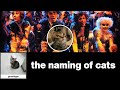The Naming of Cats - T.S. Eliot/Andrew Lloyd Weber