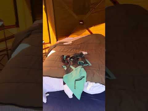 Desert View Campground Grand Canyon National Park Site 40