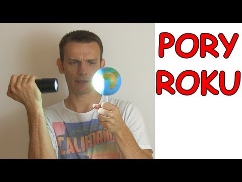 Common Thinking Errors I