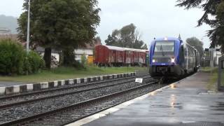 preview picture of video 'Train : Croisement en gare de Pont-de-Claix (38)  HD'