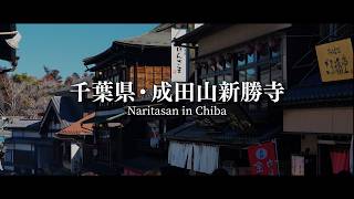 【江戸から続く伝統ある街並みとグルメ】成田山新勝寺を巡ってみた| Sony ZV-E1 #travel  #旅行 #成田山 #歴史 #グルメ