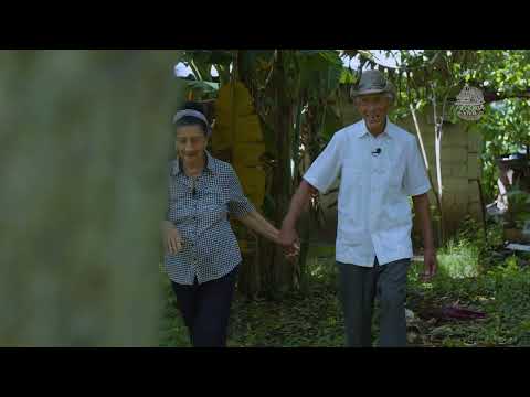 Sinsonte cobrero