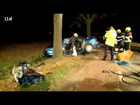 Auto tegen boom in Veulen: bestuurder dood